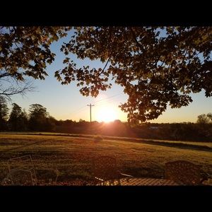 Meet your Posher, Lynn